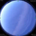 1586126843.jpg