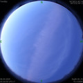 1586127068.jpg