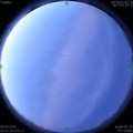 1586127128.jpg