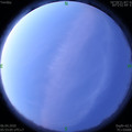 1586127203.jpg