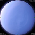 1586128119.jpg
