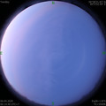 1586128494.jpg