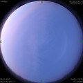 1586128614.jpg