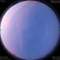 1586128989.jpg