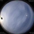 1586136598.jpg