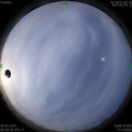 1586137123.jpg