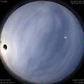 1586137183.jpg