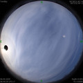1586137786.jpg