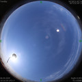 1586142646.jpg