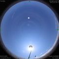 1586155132.jpg