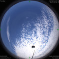 1586156648.jpg