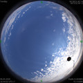 1586166253.jpg