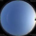 1586173636.jpg