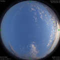 1586176713.jpg