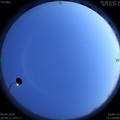 1586180960.jpg
