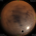 1586203231.jpg
