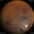 1586203351.jpg