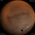 1586203411.jpg
