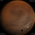 1586203546.jpg