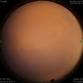 1586211890.jpg
