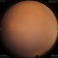 1586211950.jpg