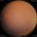 1586212010.jpg