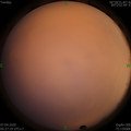 1586212070.jpg