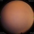 1586212130.jpg
