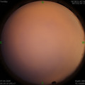 1586212190.jpg