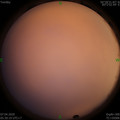 1586212250.jpg