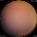 1586212310.jpg