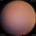 1586212430.jpg