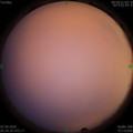1586212490.jpg