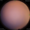 1586212550.jpg