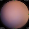 1586212610.jpg