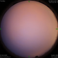 1586212670.jpg