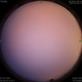 1586212730.jpg