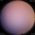 1586212790.jpg