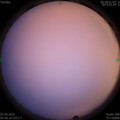 1586212850.jpg