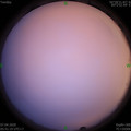 1586212910.jpg