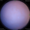 1586213241.jpg