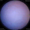 1586213376.jpg