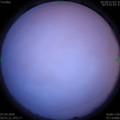 1586213511.jpg