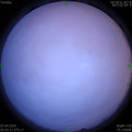 1586213571.jpg