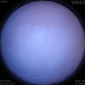 1586213646.jpg
