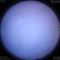 1586213706.jpg