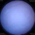 1586213766.jpg