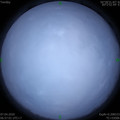 1586217428.jpg