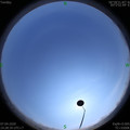 1586244531.jpg