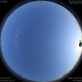 1586259538.jpg